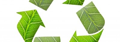 Broyage des déchets verts à domicile