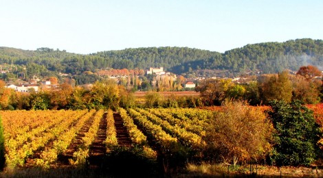 L'agenda des festivités du territoire