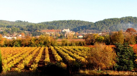  L'agenda des festivités du territoire