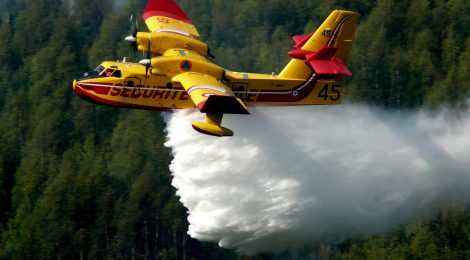 Restauration du massif incendié