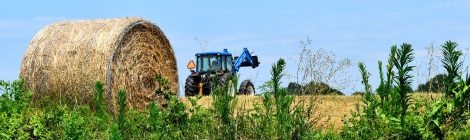 La foire des Jeunes Agriculteurs