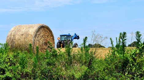 La foire des Jeunes Agriculteurs